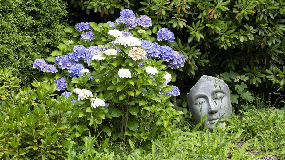 Blühender Garten am Naturfreundehaus Tönisheide